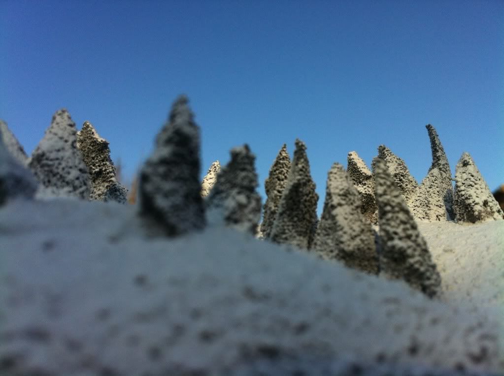 CF20D41D-5CE5-41C6-9F52-CC58E664B8D6-104