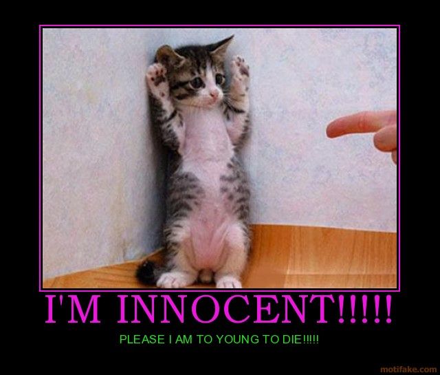   I Am Innocent -  10