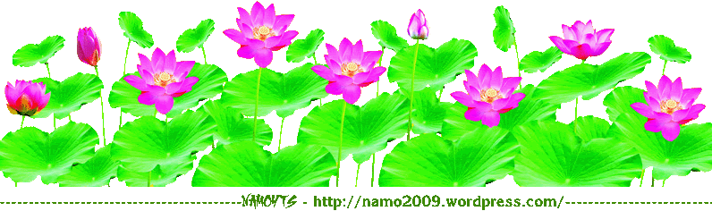 namoyts-lotuspsd.gif