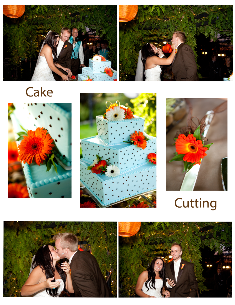 Cake Cutting