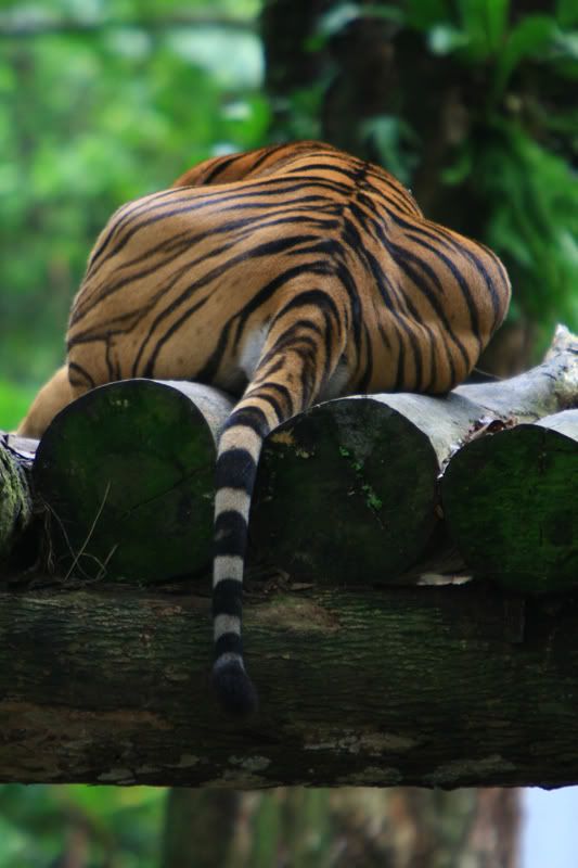 IMAGE: http://i737.photobucket.com/albums/xx19/tolahah1/3-47.jpg