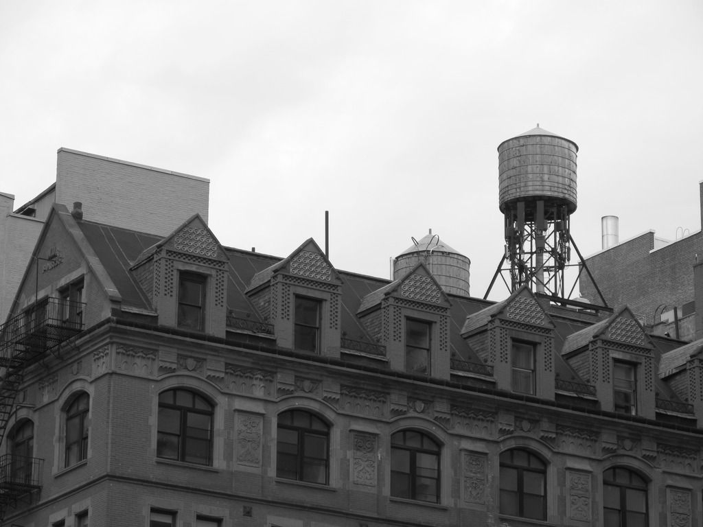 IMG_0205_zpsylivzeuv.jpg