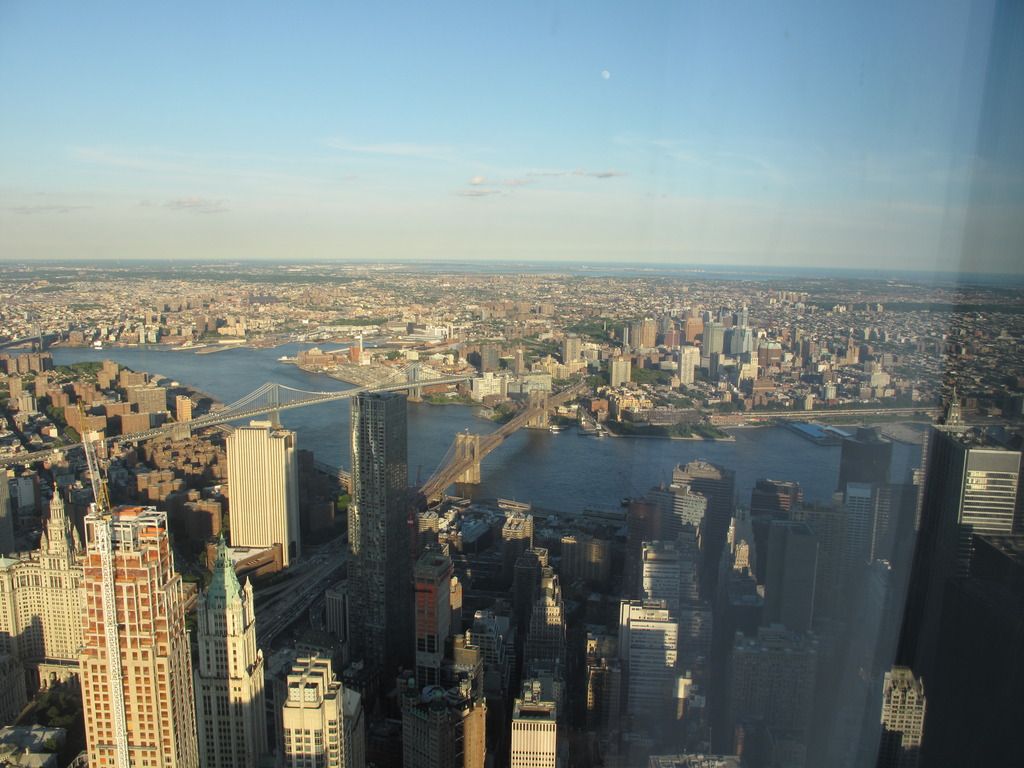 IMG_0651_zps4af29xxt.jpg