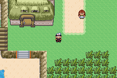 [PokeCommunity.com] Ruby Hack: Pokemon Power of Existence