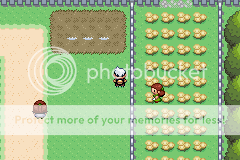 [PokeCommunity.com] Ruby Hack: Pokemon Power of Existence
