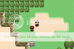 [PokeCommunity.com] Ruby Hack: Pokemon Power of Existence