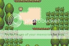 [PokeCommunity.com] Ruby Hack: Pokemon Power of Existence