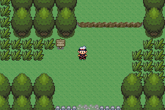 [PokeCommunity.com] Ruby Hack: Pokemon Power of Existence