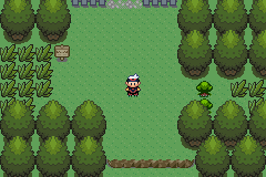 [PokeCommunity.com] Ruby Hack: Pokemon Power of Existence