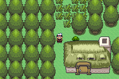 [PokeCommunity.com] Ruby Hack: Pokemon Power of Existence